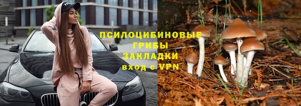 Альфа ПВП Нефтегорск