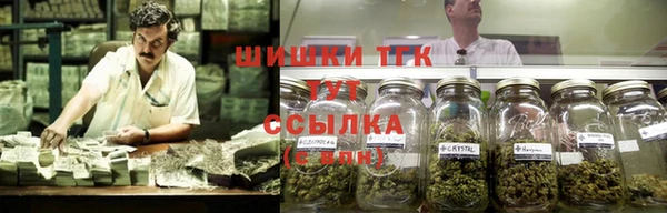 спиды Нефтекумск